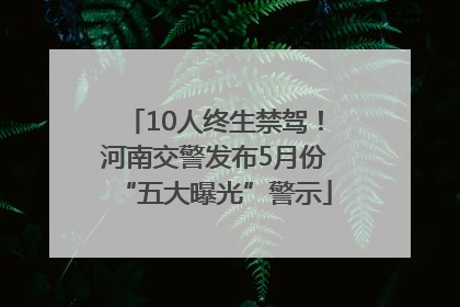10人终生禁驾！河南交警发布5月份“五大曝光”警示