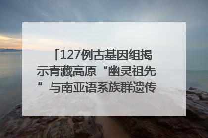 127例古基因组揭示青藏高原“幽灵祖先”与南亚语系族群遗传起源｜封面科考队