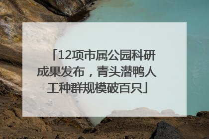 12项市属公园科研成果发布，青头潜鸭人工种群规模破百只