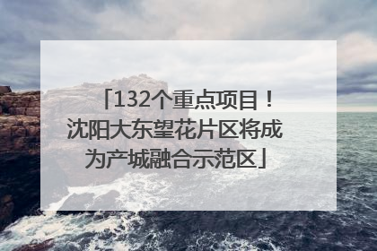 132个重点项目！沈阳大东望花片区将成为产城融合示范区