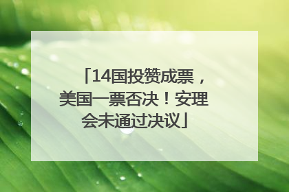 14国投赞成票，美国一票否决！安理会未通过决议