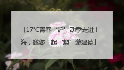 17℃青春‘沪’动季走进上海，邀您一起‘趣’游建德