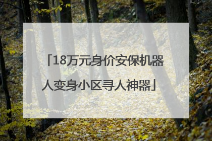 18万元身价安保机器人变身小区寻人神器