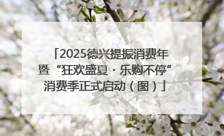 2025德兴提振消费年暨“狂欢盛夏・乐购不停”消费季正式启动（图）