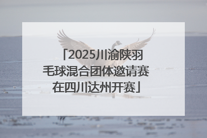 2025川渝陕羽毛球混合团体邀请赛在四川达州开赛