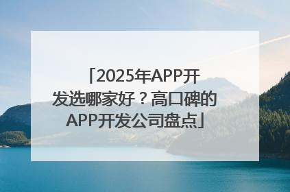 2025年APP开发选哪家好？高口碑的APP开发公司盘点