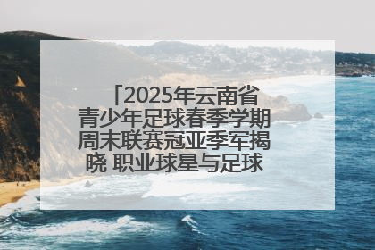 2025年云南省青少年足球春季学期周末联赛冠亚季军揭晓 职业球星与足球小将共享荣耀时刻