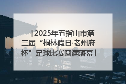 2025年五指山市第三届“桐林假日·老州府杯”足球比赛圆满落幕