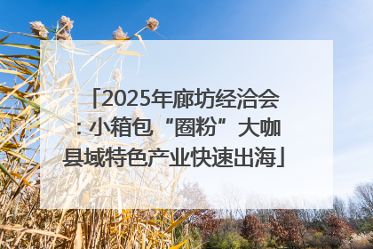 2025年廊坊经洽会：小箱包“圈粉”大咖 县域特色产业快速出海