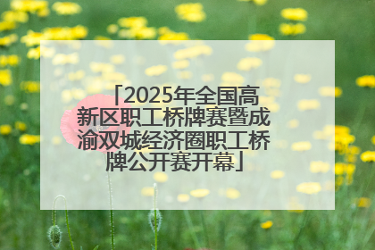 2025年全国高新区职工桥牌赛暨成渝双城经济圈职工桥牌公开赛开幕