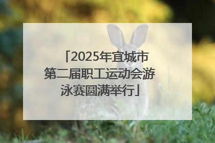 2025年宜城市第二届职工运动会游泳赛圆满举行