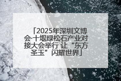 2025年深圳文博会·十堰绿松石产业对接大会举行 让“东方圣玉”闪耀世界
