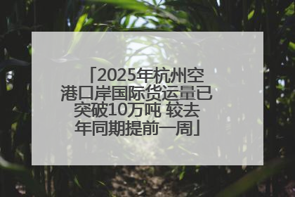 2025年杭州空港口岸国际货运量已突破10万吨 较去年同期提前一周
