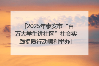 2025年泰安市“百万大学生进社区”社会实践提质行动顺利举办