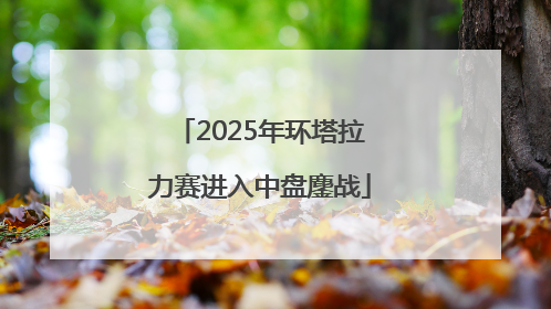2025年环塔拉力赛进入中盘鏖战
