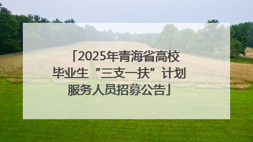 2025年青海省高校毕业生“三支一扶”计划服务人员招募公告