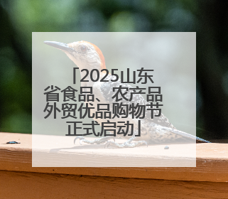2025山东省食品、农产品外贸优品购物节正式启动
