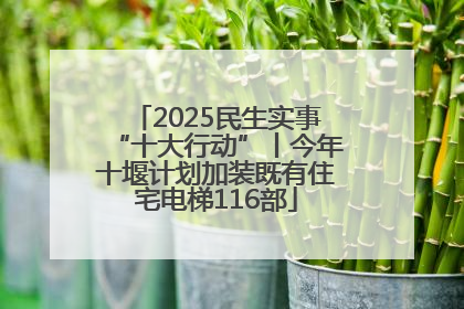 2025民生实事“十大行动”丨今年十堰计划加装既有住宅电梯116部