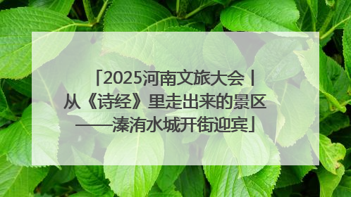 2025河南文旅大会丨从《诗经》里走出来的景区——溱洧水城开街迎宾