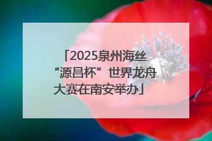 2025泉州海丝“源昌杯”世界龙舟大赛在南安举办