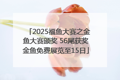 2025福鱼大赛之金鱼大赛颁奖 56尾获奖金鱼免费展览至15日