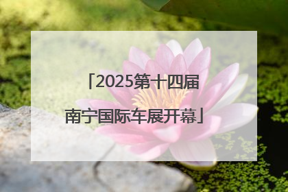 2025第十四届南宁国际车展开幕