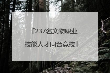 237名文物职业技能人才同台竞技