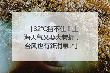 32℃挡不住！上海天气又要大转折，台风也有新消息↗