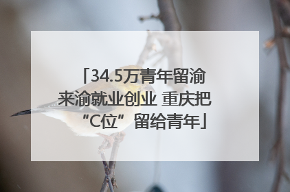 34.5万青年留渝来渝就业创业 重庆把“C位”留给青年
