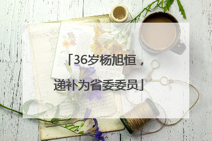36岁杨旭恒，递补为省委委员