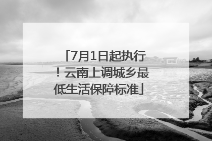 7月1日起执行！云南上调城乡最低生活保障标准