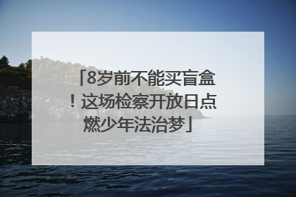8岁前不能买盲盒！这场检察开放日点燃少年法治梦
