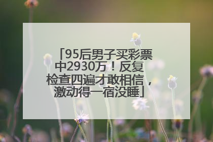 95后男子买彩票中2930万！反复检查四遍才敢相信，激动得一宿没睡