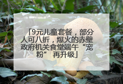 9元儿童套餐，部分人可八折，爆火的赤壁政府机关食堂端午“宠粉” 再升级