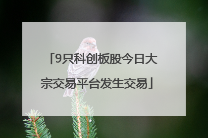 9只科创板股今日大宗交易平台发生交易