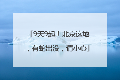 9天9起！北京这地，有蛇出没，请小心
