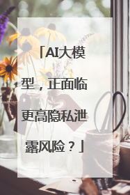 AI大模型，正面临更高隐私泄露风险？
