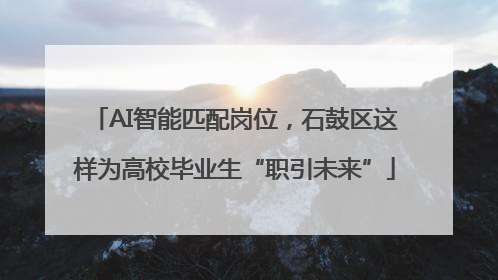 AI智能匹配岗位，石鼓区这样为高校毕业生“职引未来”