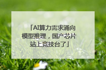 AI算力需求涌向模型推理，国产芯片站上竞技台了