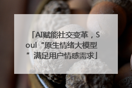 AI赋能社交变革，Soul“原生情绪大模型”满足用户情感需求