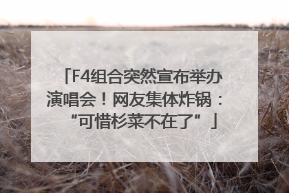 F4组合突然宣布举办演唱会！网友集体炸锅：“可惜杉菜不在了”