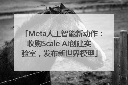 Meta人工智能新动作：收购Scale AI创建实验室，发布新世界模型