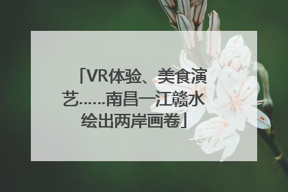 VR体验、美食演艺……南昌一江赣水绘出两岸画卷